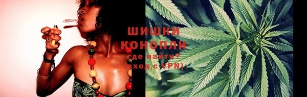 хмурый Касимов