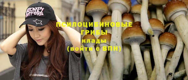 хмурый Касимов